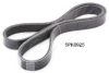 ASHIKA 112-5PK925 V-Ribbed Belts